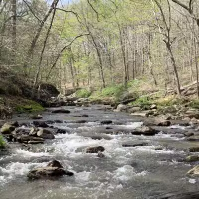 Gunpowder Falls State Park Hammerman Area - Middle River, MD