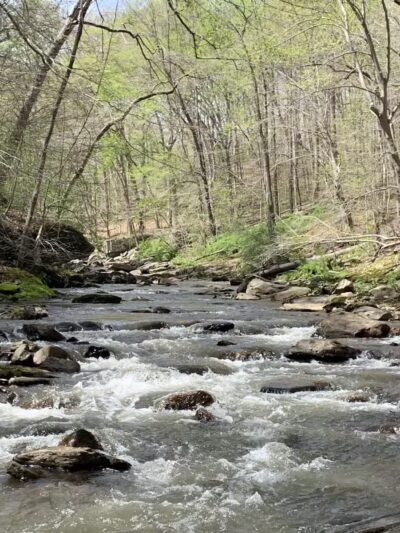 Gunpowder Falls State Park Hammerman Area - Middle River, MD