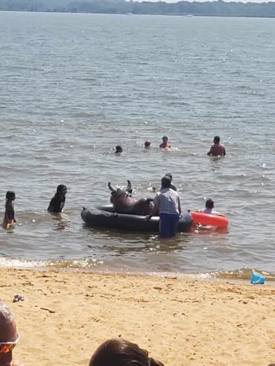 Gunpowder Falls State Park Hammerman Area - Middle River, MD