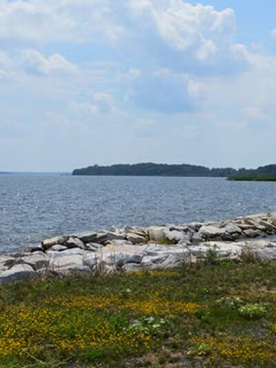 Gunpowder Falls State Park Hammerman Area bathrooms - Middle River, MD