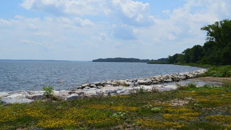 Gunpowder Falls State Park Hammerman Area bathrooms - Middle River, MD
