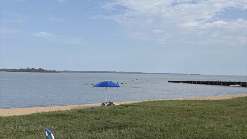 Gunpowder Falls State Park Hammerman Area bathrooms - Middle River, MD