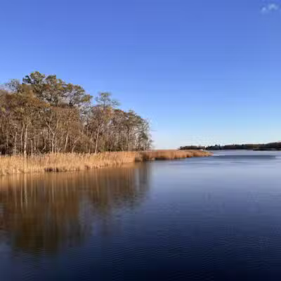 Marshy Point Nature Center - Middle River, MD