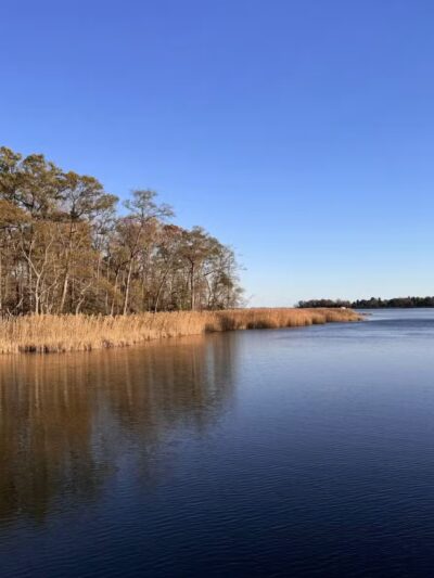Marshy Point Nature Center - Middle River, MD