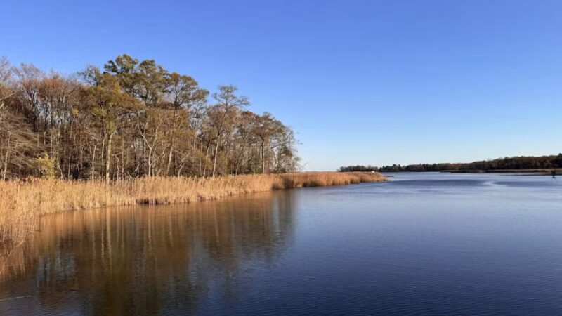 Marshy Point Nature Center - Middle River, MD