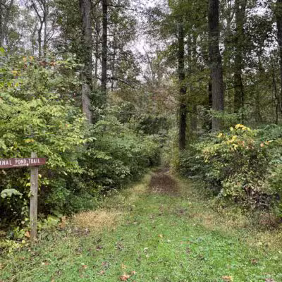 Marshy Point Nature Center - Middle River, MD