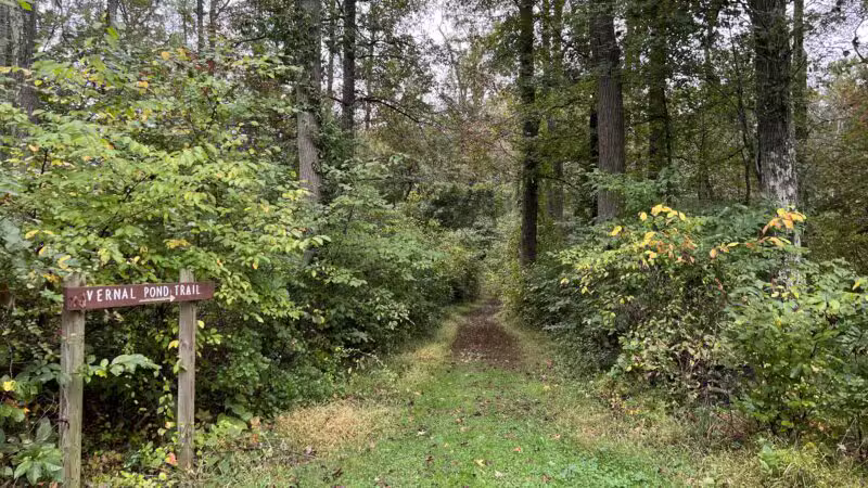 Marshy Point Nature Center - Middle River, MD