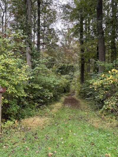 Marshy Point Nature Center - Middle River, MD