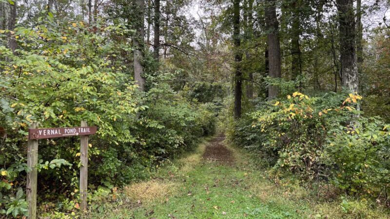Marshy Point Nature Center - Middle River, MD
