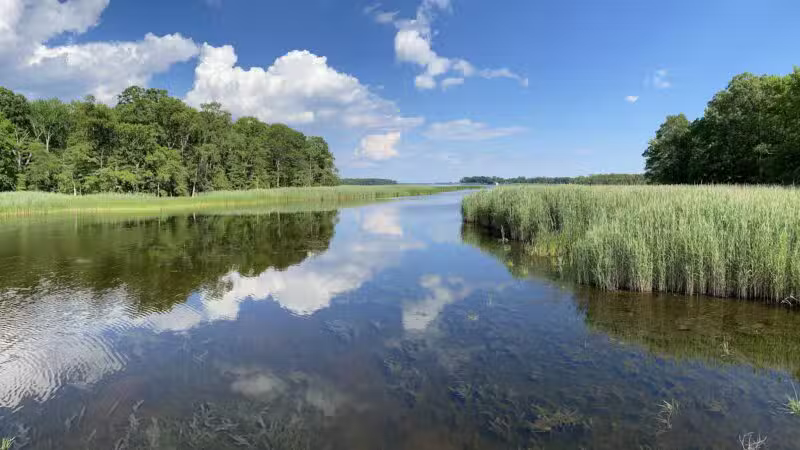 Marshy Point Nature Center - Middle River, MD