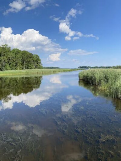 Marshy Point Nature Center - Middle River, MD