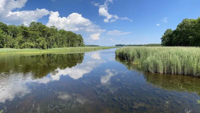 Marshy Point Nature Center - Middle River, MD