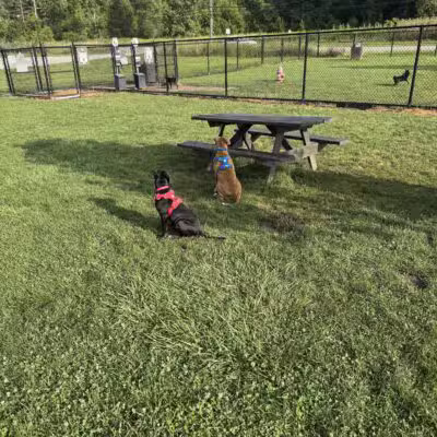 Tri-City Bark Park - Middleburg Heights, OH