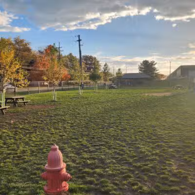 Tri-City Bark Park - Middleburg Heights, OH