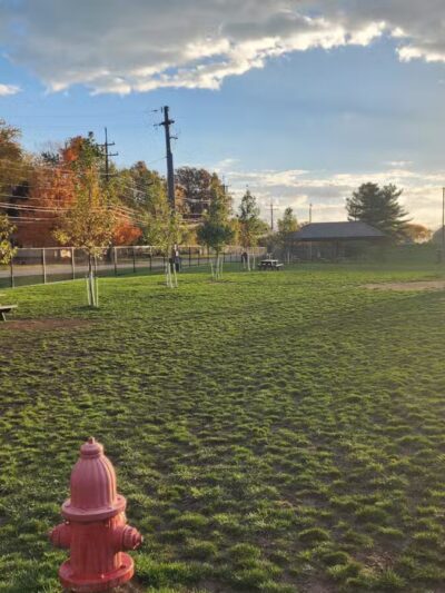 Tri-City Bark Park - Middleburg Heights, OH