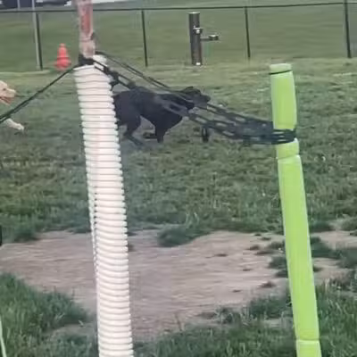 Tri-City Bark Park - Middleburg Heights, OH