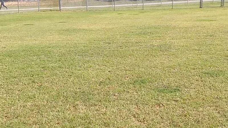 Milan Dog Park - Milan, TN