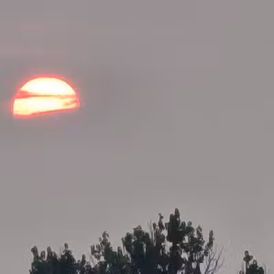 Dr. Maurice Hilleman Park - Miles City, MT