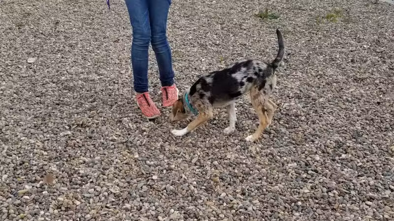 Pine Hills Park - Miles City, MT