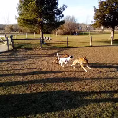 Milford Dog Park - Milford, MI
