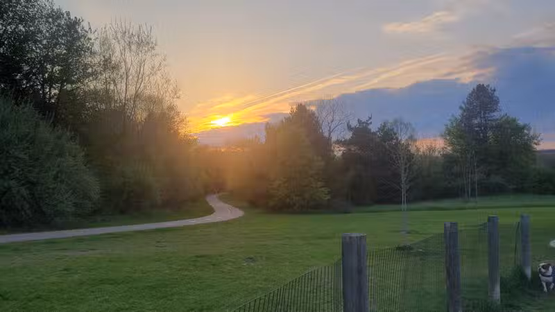 Milford Dog Park - Milford, MI