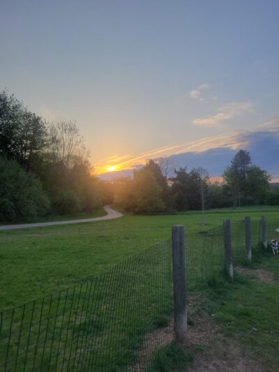 Milford Dog Park - Milford, MI