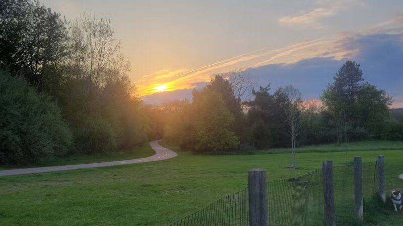 Milford Dog Park - Milford, MI