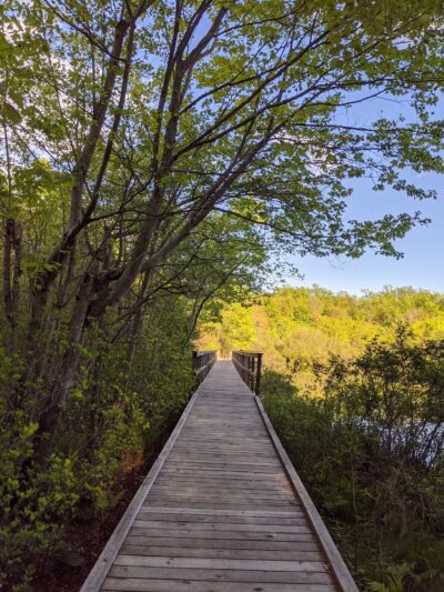 Shu Swamp Nature Preserve - Mill Neck, NY