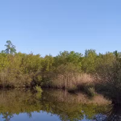 Shu Swamp Nature Preserve - Mill Neck, NY