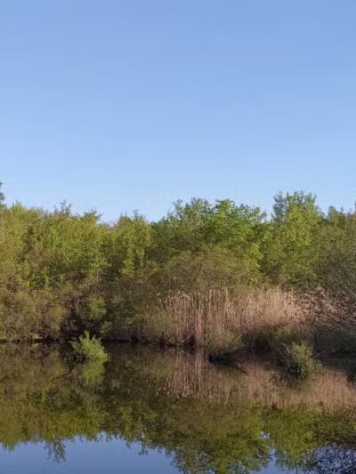 Shu Swamp Nature Preserve - Mill Neck, NY