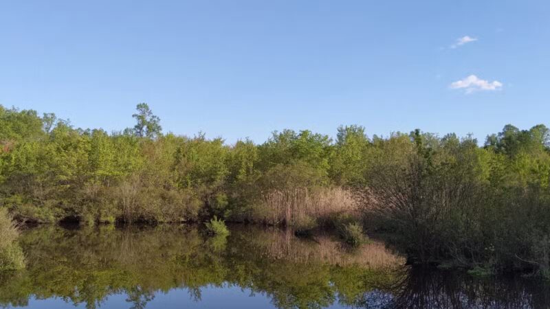 Shu Swamp Nature Preserve - Mill Neck, NY