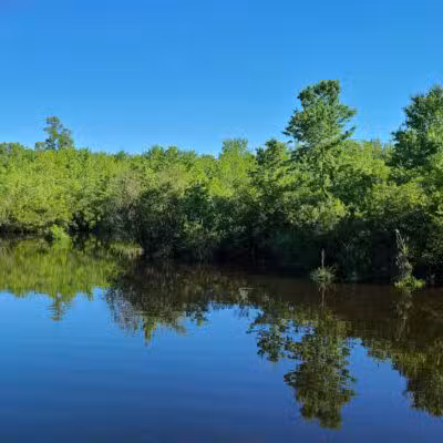 Shu Swamp Nature Preserve - Mill Neck, NY