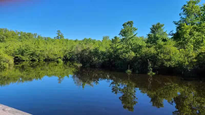 Shu Swamp Nature Preserve - Mill Neck, NY