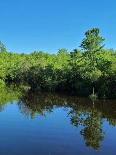 Shu Swamp Nature Preserve - Mill Neck, NY