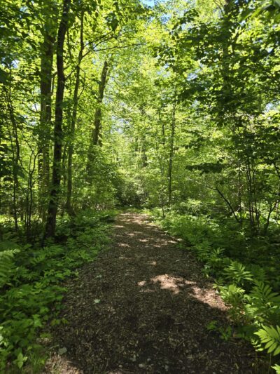 Shu Swamp Nature Preserve - Mill Neck, NY