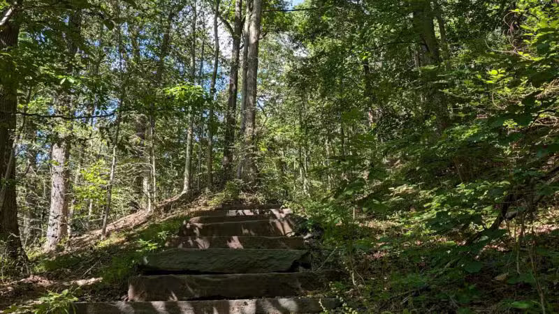 Quarry Trail Giant Steps - Millburn, NJ