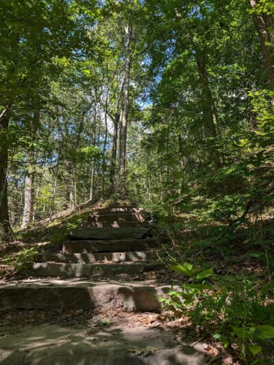 Quarry Trail Giant Steps - Millburn, NJ