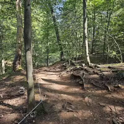 Quarry Trail Giant Steps - Millburn, NJ