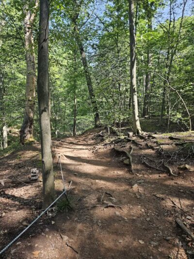 Quarry Trail Giant Steps - Millburn, NJ