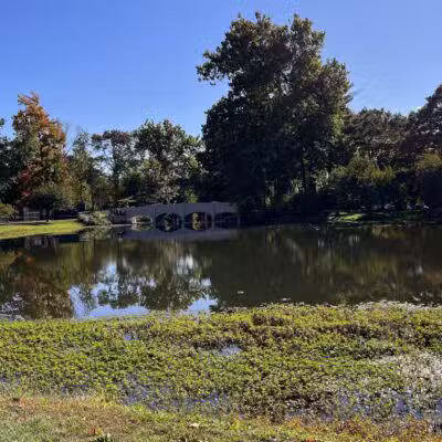 Taylor Park - Millburn, NJ