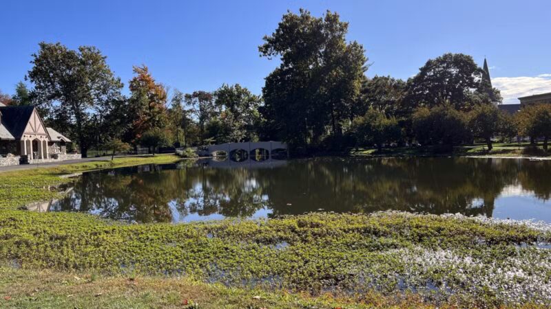 Taylor Park - Millburn, NJ