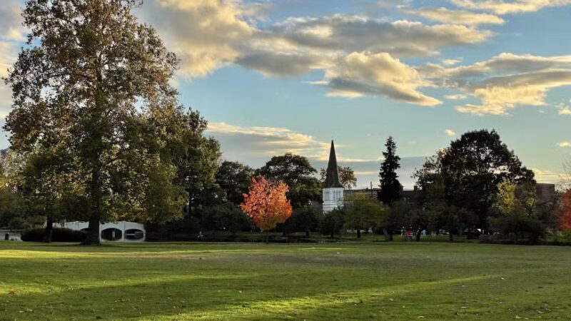 Taylor Park - Millburn, NJ