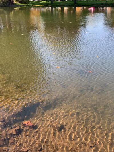 Taylor Park - Millburn, NJ