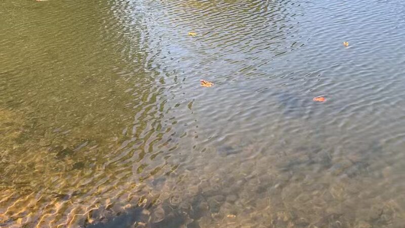 Taylor Park - Millburn, NJ