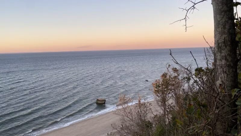 Cordwood Landing County Park - Miller Place, NY