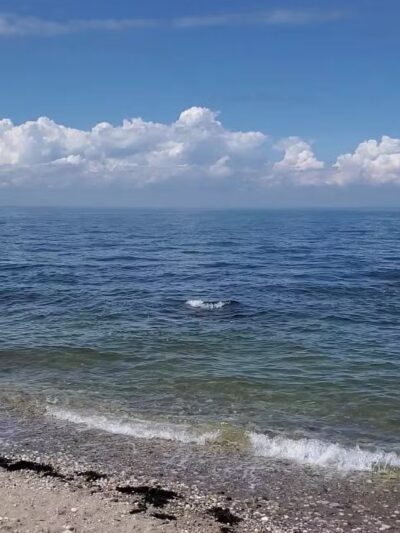 Cordwood Landing County Park - Miller Place, NY