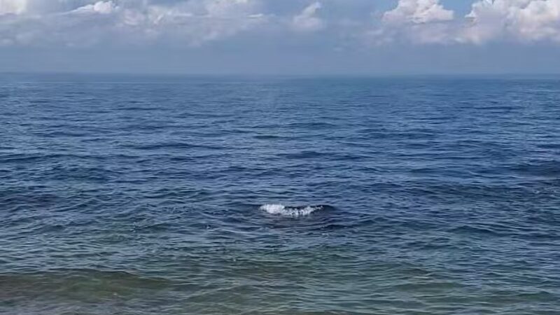 Cordwood Landing County Park - Miller Place, NY