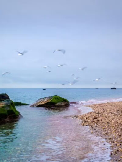 Cordwood Landing County Park - Miller Place, NY