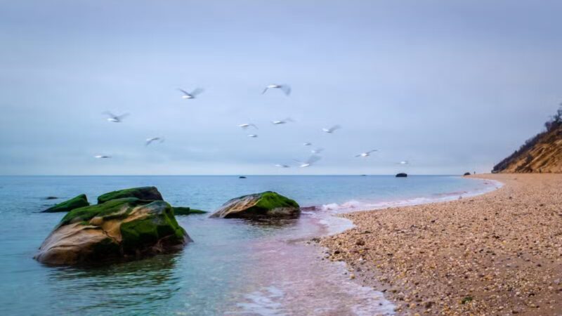 Cordwood Landing County Park - Miller Place, NY