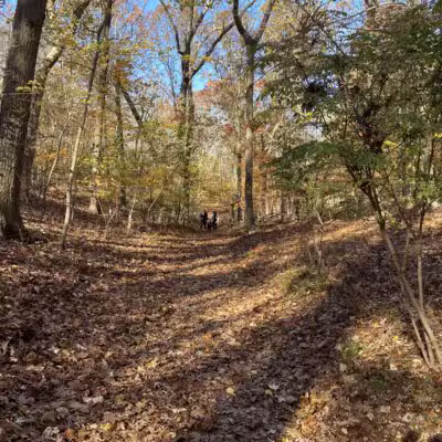 Cordwood Landing County Park - Miller Place, NY